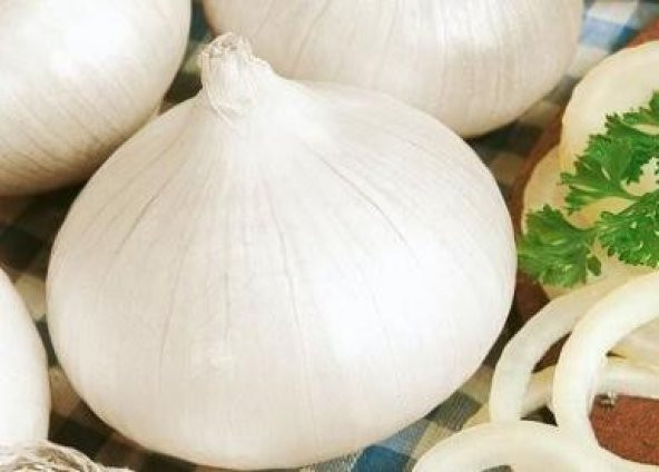 70+ Tatlı İspanyol Beyaz Soğan Tohumu N11.2709 ürün görseli 1