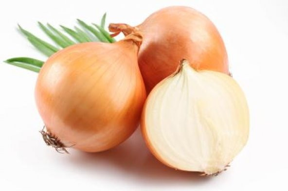 70+ Tatlı İspanyol Sarı Soğan Tohumu N11.5045 - Resim 2