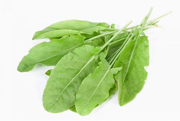 250+ Kuzu Kulağı Otu Tohumu- Limon Aromasında N11.2704 ürün görseli 1