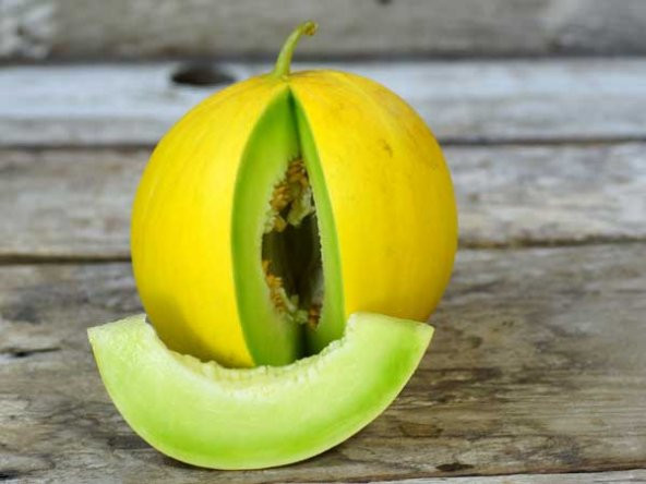 10+ Adet Yeşil Meyveli Tatlı Kavun Tohumu ürün görseli 1