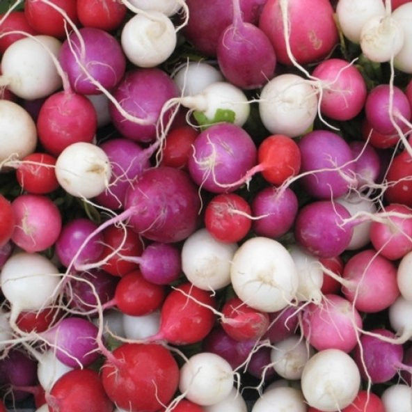 50+ Paskalya Yumurtası Karışık Renkli Turp Tohumu N11.993 ürün görseli 1