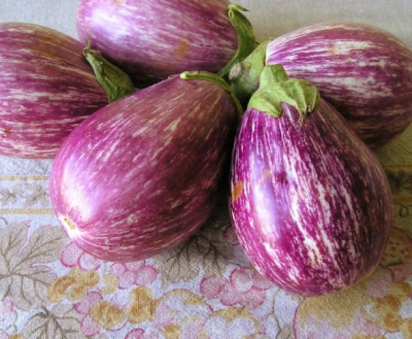 Listada Çizgili Patlıcan Tohumu - Resim 2