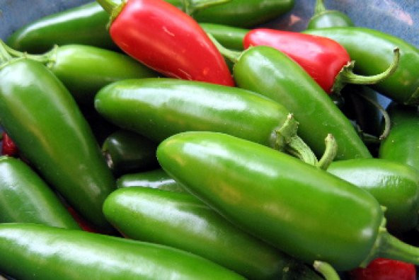 10+ Jalapeno Tam Acı Biber Tohumu N11.2811 ürün görseli 1