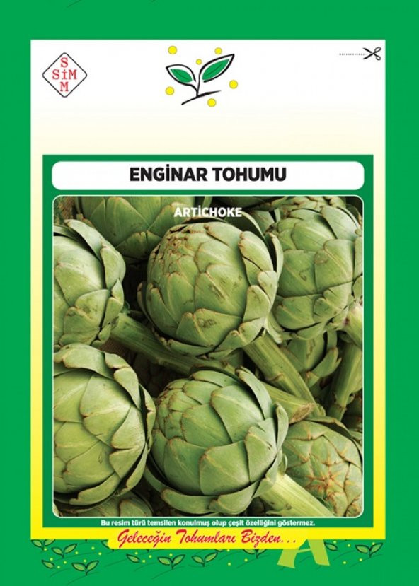 Enginar Tohumu 1 Paket 20 Adet Sebze Tohumları Enginar N11.1415 ürün görseli 1
