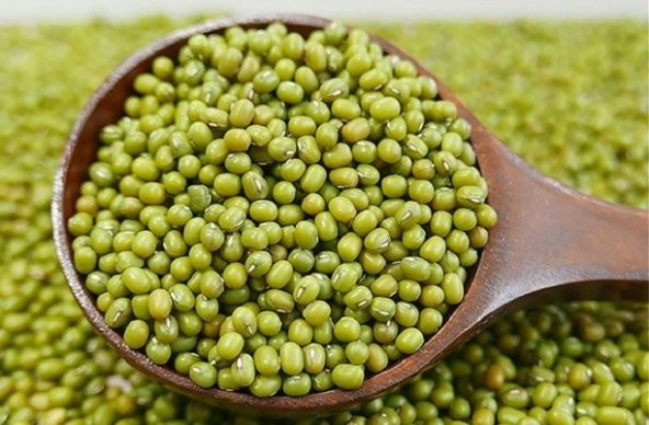 Paket Fasulye Mung Bean Tohumu 100 Tohum+ Tohum ürün görseli 1