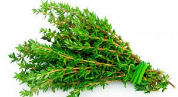 Paket Yerli Aromatik Dağ Kekiği Tohumu 300 Tohum+ Toh ürün görseli 1