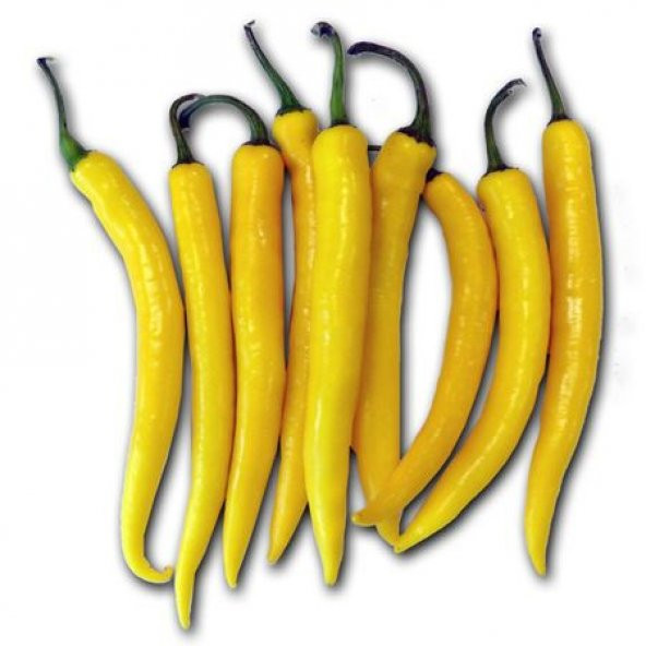 Eko Paket Golden Acı Cayenne Biber Tohumu 65 Tohum+ Tohum ürün görseli 1