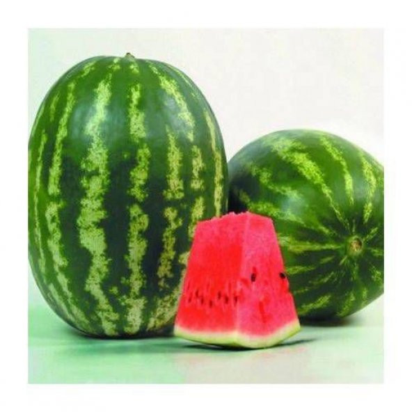 Paket Tam 5 Farklı Çeşit Karpuz Tohumu+ Hewdiye Tohum ürün görseli 1