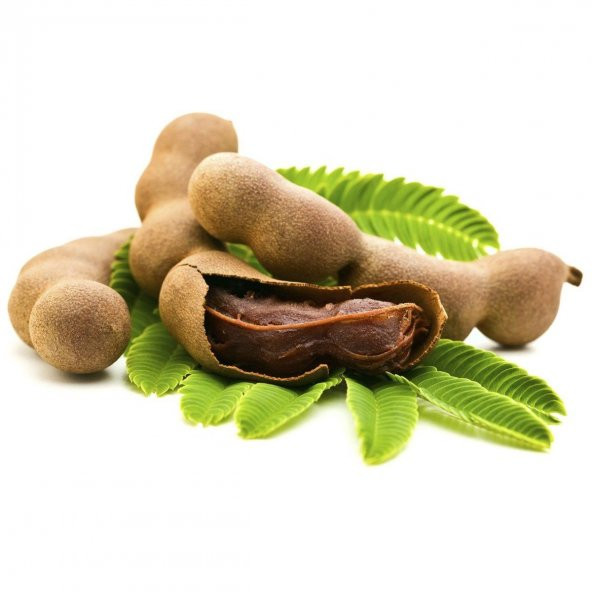 Demir Hindi Meyvesi Sweet Tamarind 5 Tohum + Saksı+Toprak+ ürün görseli 1