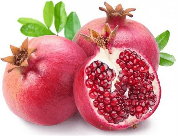 Kırmızı Nar Ağacı Tohumu 5 Tohum + Saksı + Toprak+ Tohum ürün görseli 1
