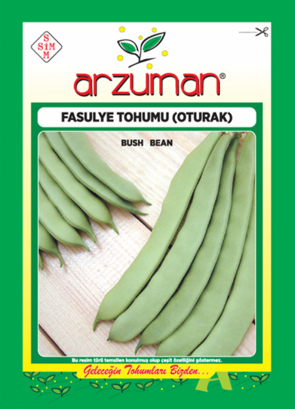 Oturak Fasulye Tohumu Gına 50 Gr Tohum ürün görseli 1