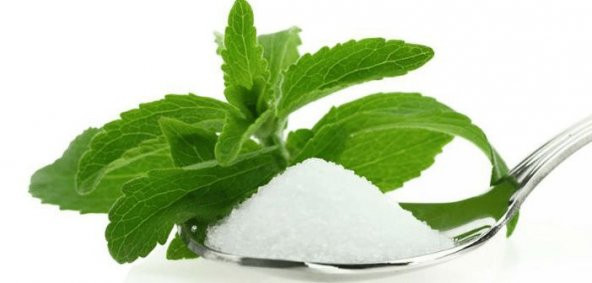 Şeker Otu Tohumu Stevia Tohumu 15 Adet Tohum + Spriz Tohum ürün görseli 1