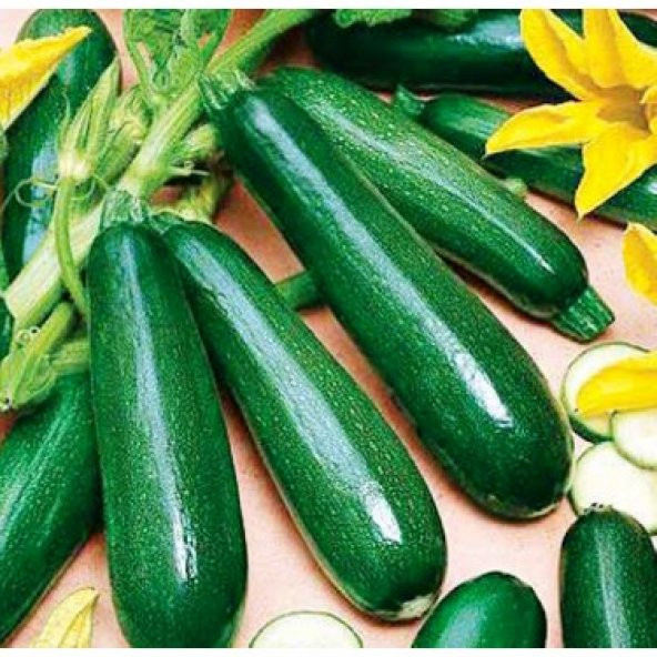 Eko Paket Kara Kolsuz Kabak Tohumu 65 Tohum + Spriz Tohum ürün görseli 1