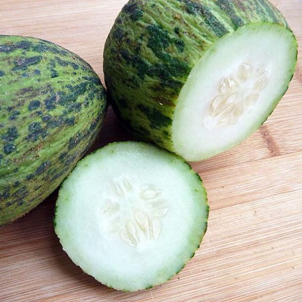 Yemelik Turşuluk Kelek Tohumu 15 Adet Kelek Tohumu Tohum+ T ürün görseli 1