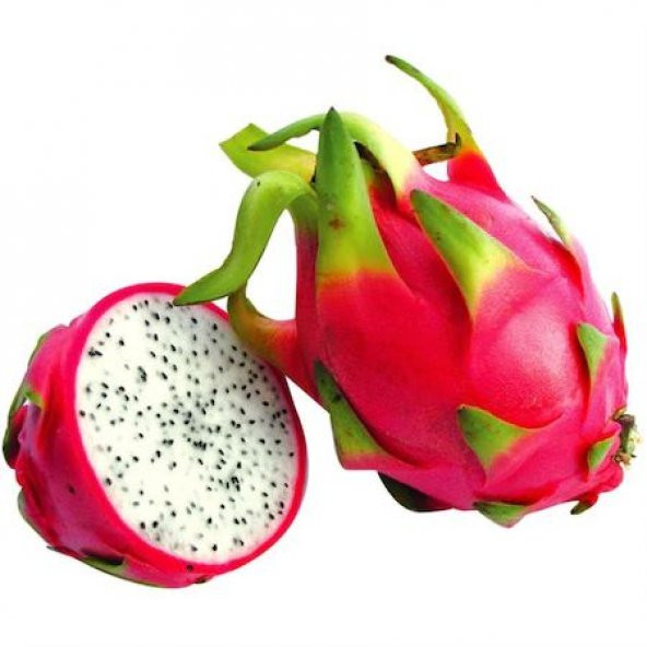 Beyaz Pitaya Ağacı Tohumu Ejder Meyvesi Tohumu 15 Tohum + T ürün görseli 1