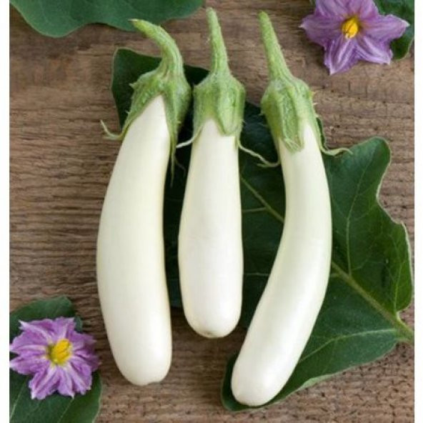 Beyaz Nadir Kemer Patlıcan Tohumu 5 Tohum+ Tohum ürün görseli 1