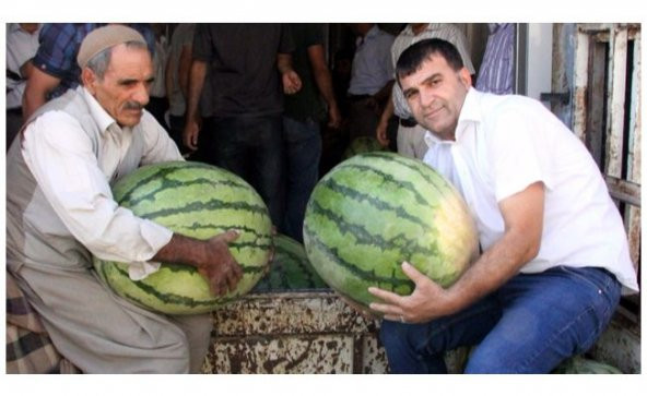 Eko Paket Diyarbakır Karpuzu Tohumu 75 Tohum + Tohum ürün görseli 1