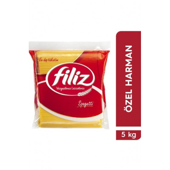 FİLİZ CATERİNG SPAGETTİ 5kg ürün görseli 1