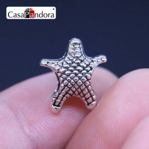 Worldshop GÜMÜŞ ^YILDIZ^ CHARM,  CHARM BİLEKLİK UYUMLU ürün görseli 1