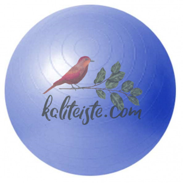 Pilates Topu 20 Cm ürün görseli 1