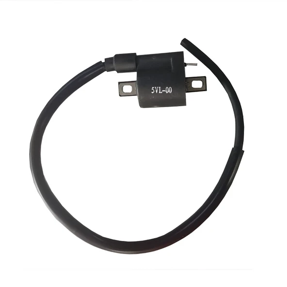 Yamaha Cygnus L Ateşleme Bobini - Resim 2