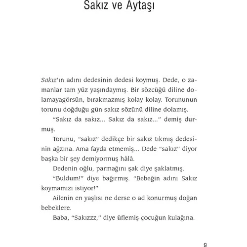 Sakız Kızın Günleri SEVİM AK - Resim 2