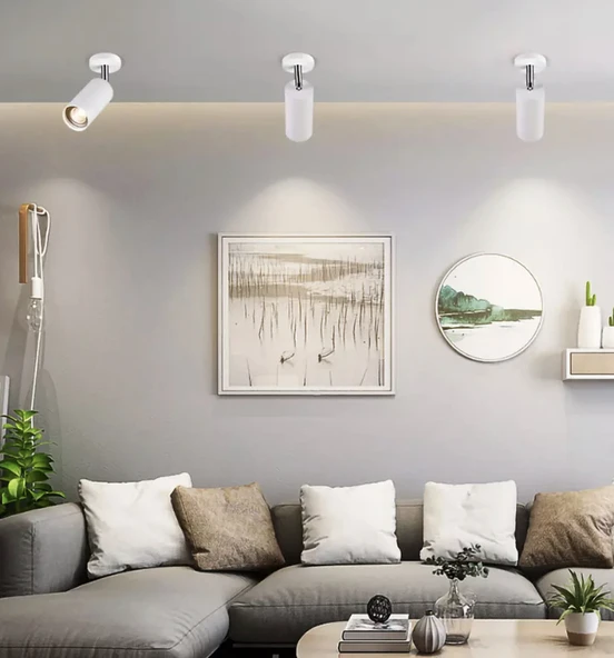 Rsylight Metal Dekoratif Beyaz Mafsallı Spot Armatür Günışığı Ampullü ürün görseli 1