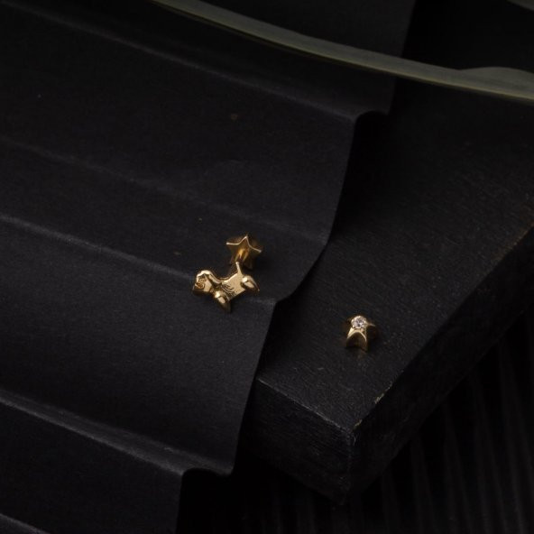14 Ayar Altın Tragus Piercing Küpe - Resim 4
