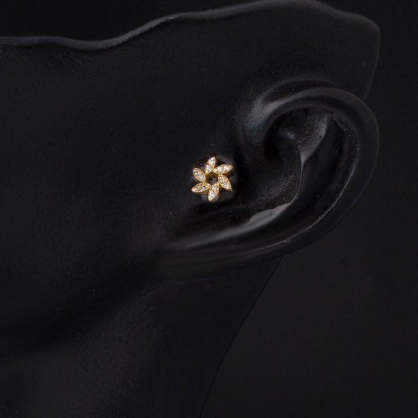 14 Ayar Altın Piercing Tragus Küpe - Resim 2