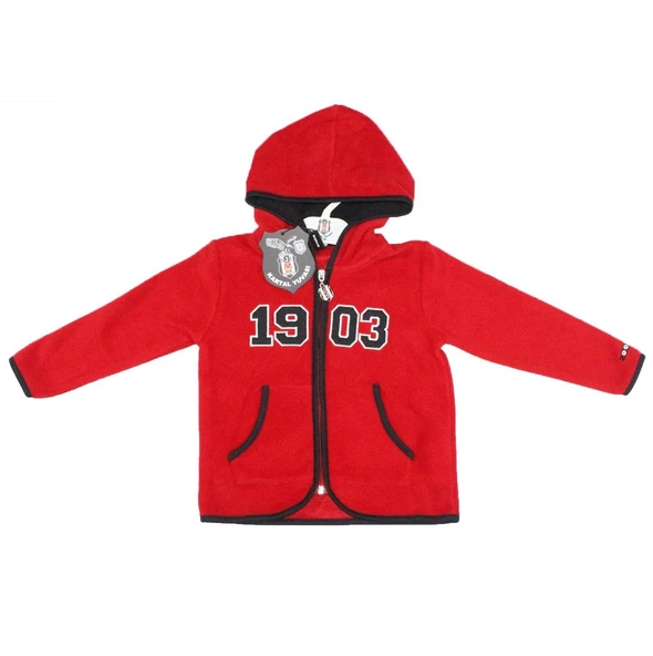 Beşiktaş Lisanslı Uzun Kol Kapüşonlu Polar Sweat ürün görseli 1