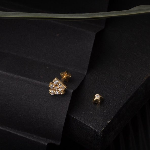 14 Ayar Altın Tragus Piercing Küpe - Resim 4
