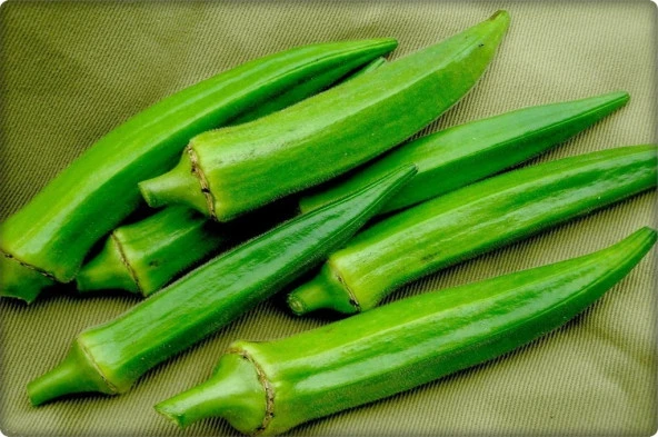 Bamya Tohumu (Sultani) 10 Gr - Resim 2