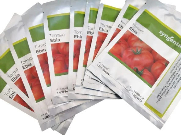 Ebia F1 Oturak Hibrit İri Domates Tohumu (1000 Adet) Syngenta ürün görseli 1