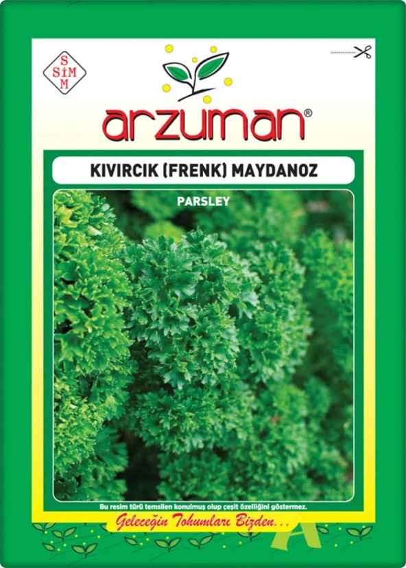 Kıvırcık Maydanoz (Frenk Maydanoz) 10 Gr ürün görseli 1