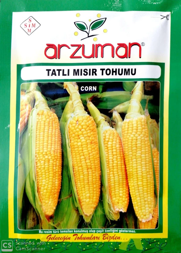 Hibrit Şeker-Tatlı Mısır Tohumu (25 Gr) ürün görseli 1
