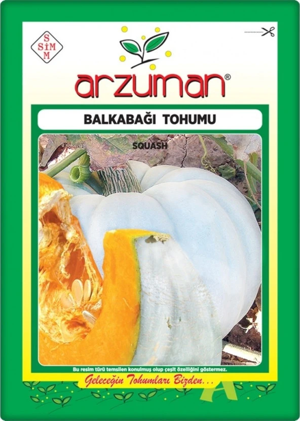 Balkabağı Tohumu Arıcan 97 (10 Gr) En İyi Çeşit ürün görseli 1