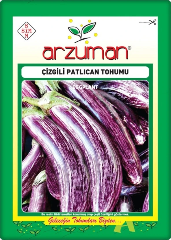 Çizgili Patlıcan Tohumu (10 Gr) Alaca Patlıcan ürün görseli 1