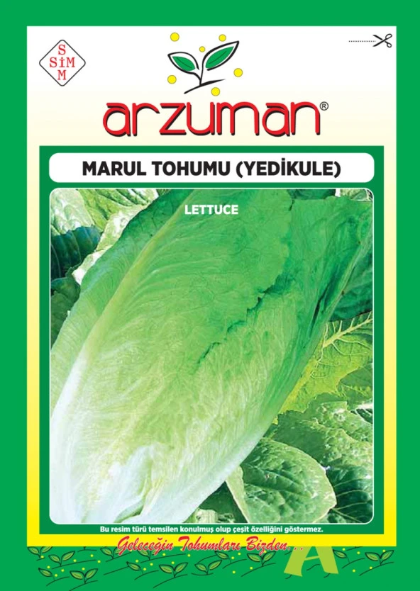 Yedikule Marul Tohumu (10 Gr) ürün görseli 1