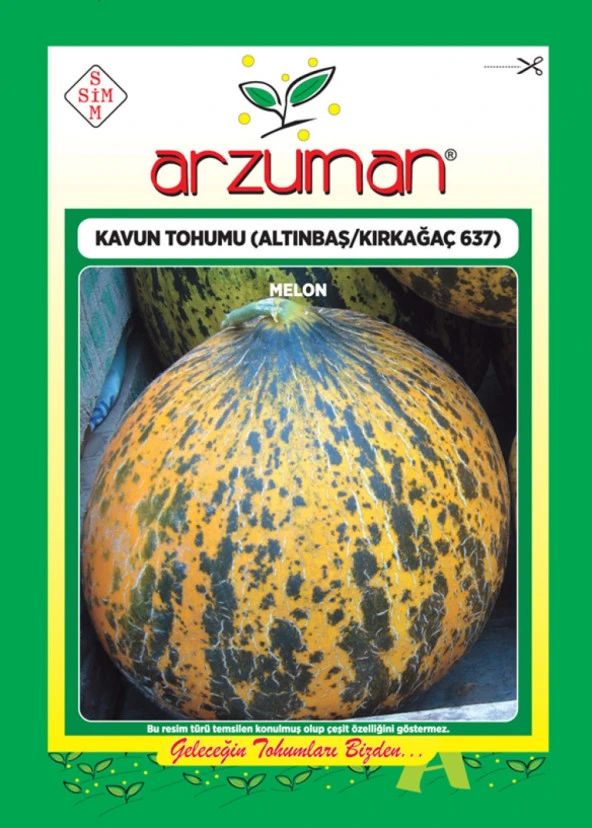 Kırkağaç 637/Altınbaş Kavun Tohumu (10 Gr ) ürün görseli 1