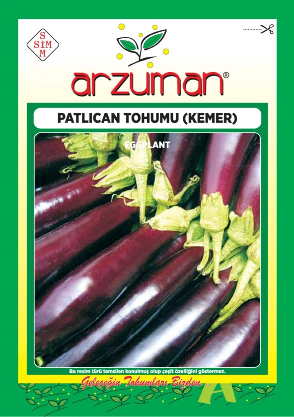 Patlıcan Tohumu (10 Gr) Kemer-27 ürün görseli 1