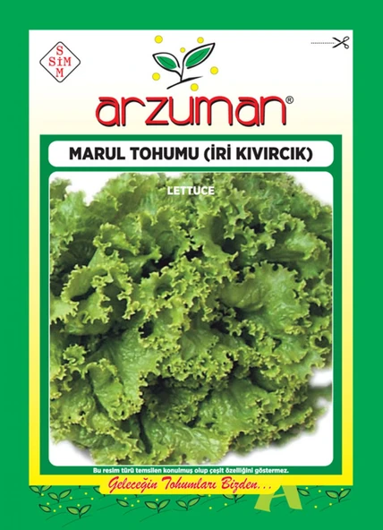 İri Kıvırcık - Marul Tohumu (10 gr) ürün görseli 1