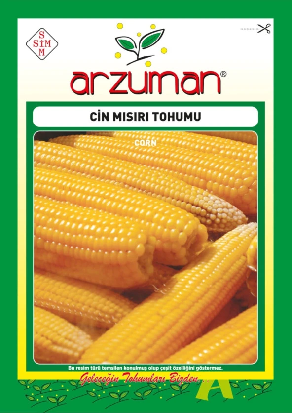 Cin Mısır Tohumu (25 Gr) Patlatmalık Popcorn Mısır ürün görseli 1