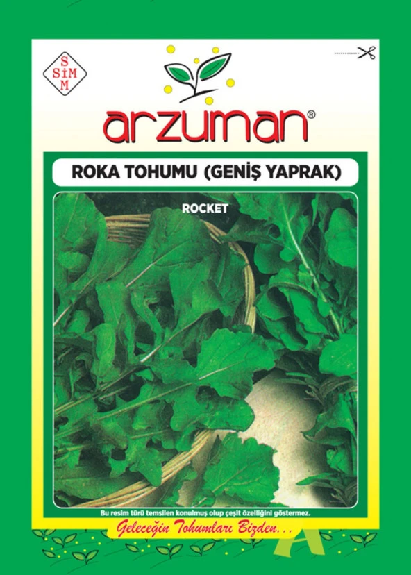Roka Tohumu (10 Gr) Arzuman - Resim 2
