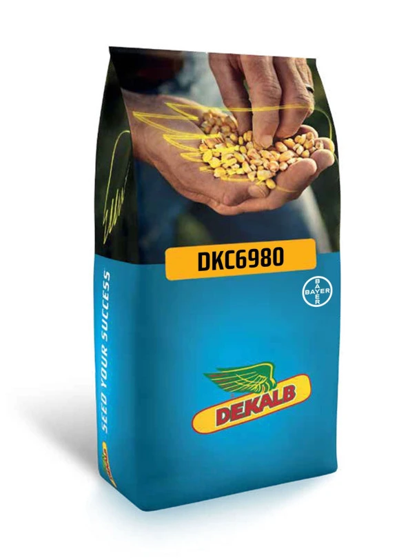 DEKALB DKC6980 Geçci Danelik Mısır Tohumu ürün görseli 1