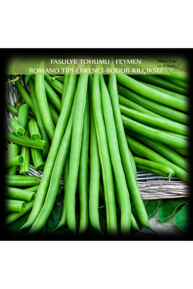 Özel Feymen Fasülye Tohumu 100 Gr (350+ Adet) Kılçıksız Fasulye Tohumu ürün görseli 1