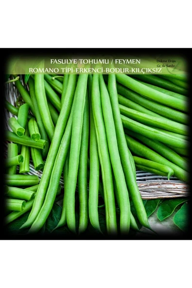 Özel Feymen Fasülye Tohumu 250 Gr (650+ Adet) Kılçıksız Erkenci Bodur Fasulye Tohumu ürün görseli 1