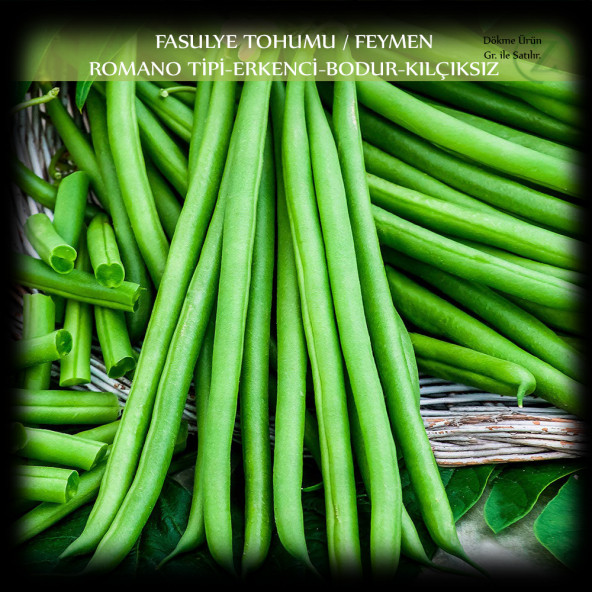 Özel Feymen Fasülye Tohumu 2 Kg. (5000+ Adet) Kılçıksız Erkenci Bodur Fasulye Tohumu ürün görseli 1