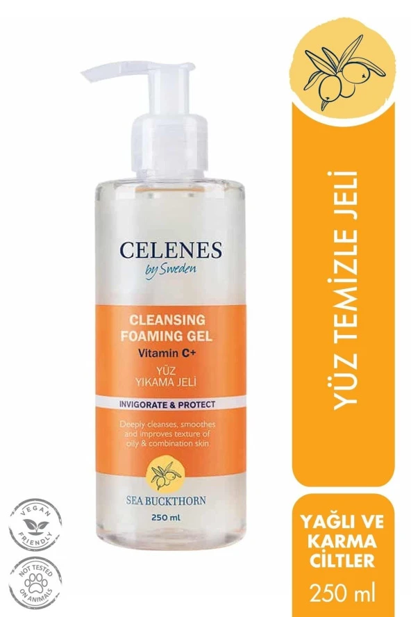 Celenes Sea Buckthorn Temızleme Jelı 250Ml Yaglı/Karma ürün görseli 1