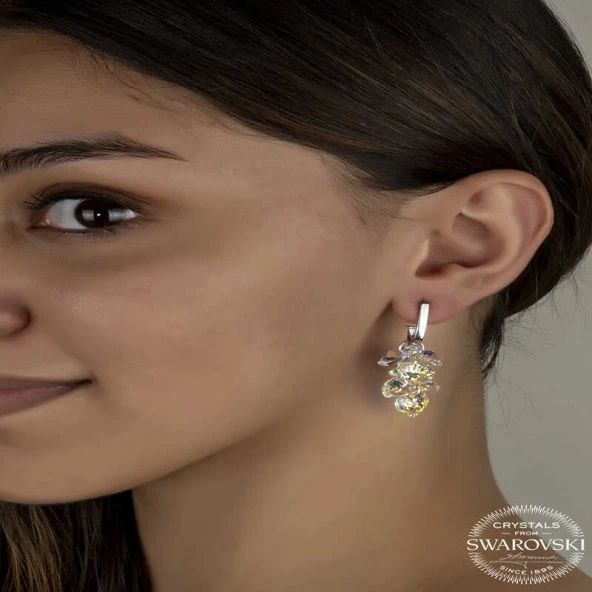 Swarovski Crystal Taşlı Gümüş Kalp Salkım Sallantılı Çivili Kadın Küpe ürün görseli 1