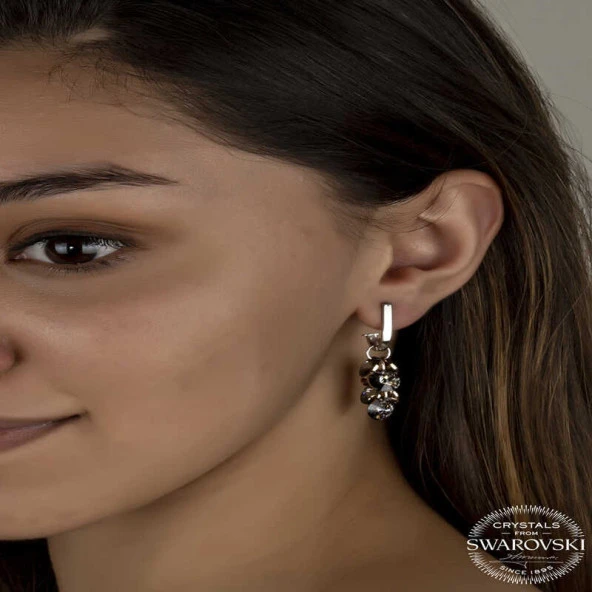 Swarovski Crystal Taşlı Gümüş Salkım Sallantılı Çivili Kadın Küpe ürün görseli 1